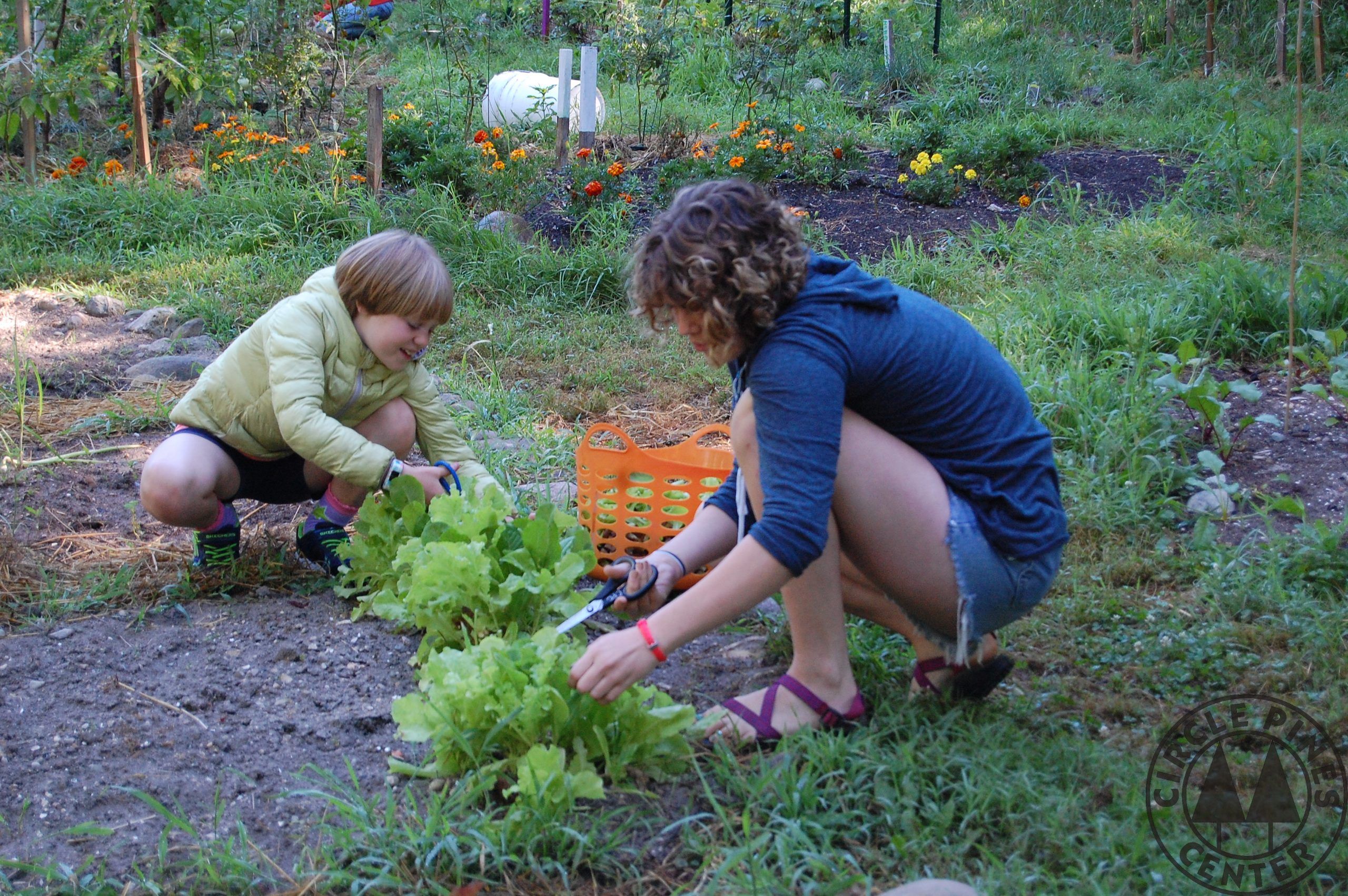 Circle Pines Center Summer 2018