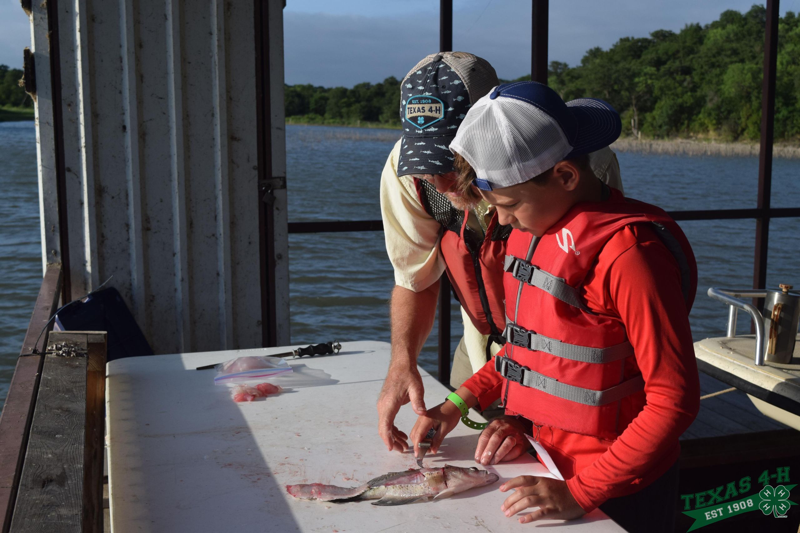 Texas 4H Summer 2020